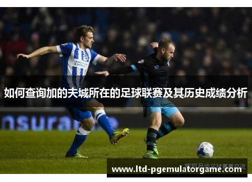 如何查询加的夫城所在的足球联赛及其历史成绩分析