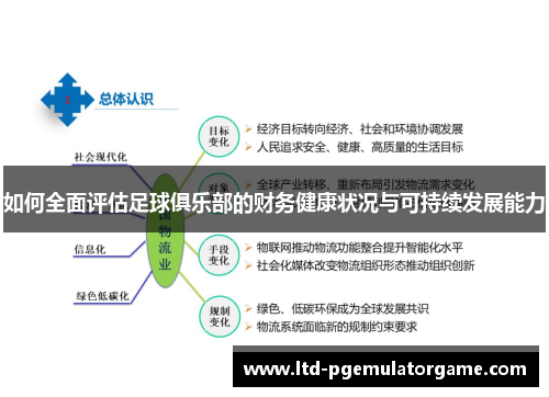 如何全面评估足球俱乐部的财务健康状况与可持续发展能力