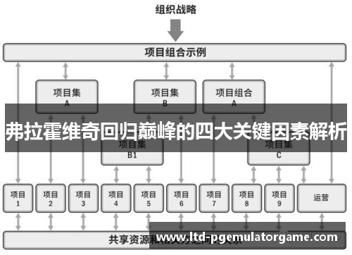 弗拉霍维奇回归巅峰的四大关键因素解析